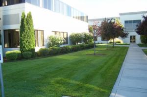 a corporate courtyard in good condition, thanks to our sprinkler repair in Fair Oaks CA